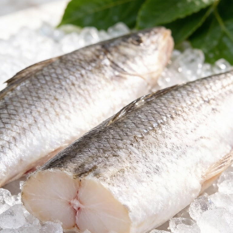 Pollock Fillet