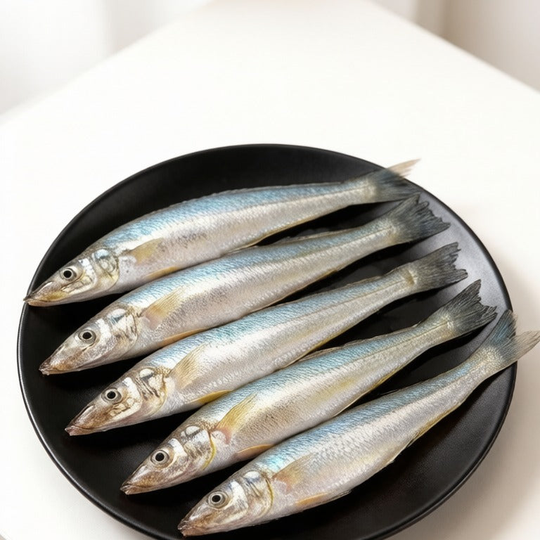 Wild Sardine